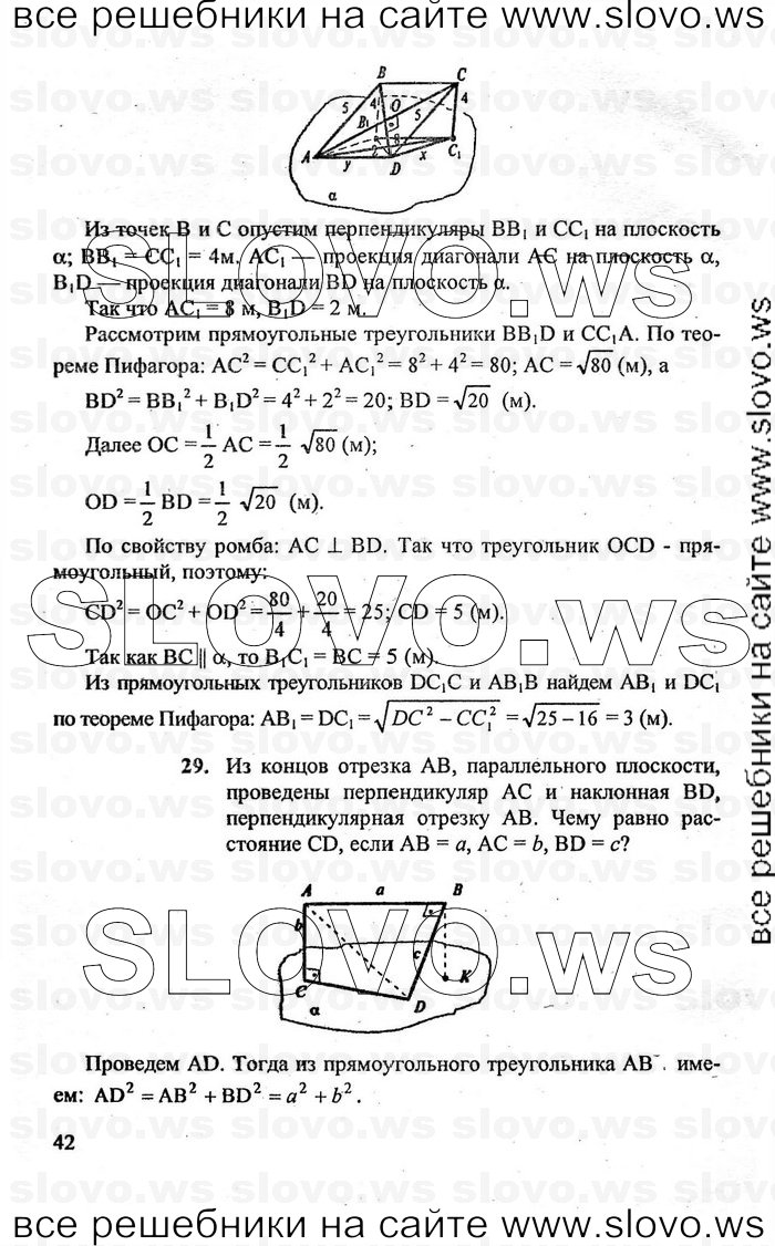    042   , 10-11  [10 ] (A.B. ) 2010
