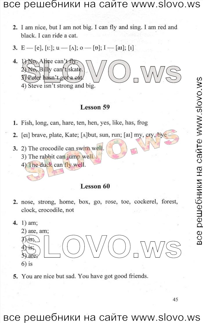    045    , 2  [Enjoy English] (. 3. , . . , . . ) 2013