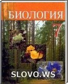  ()  , 7  (.. ) 2010