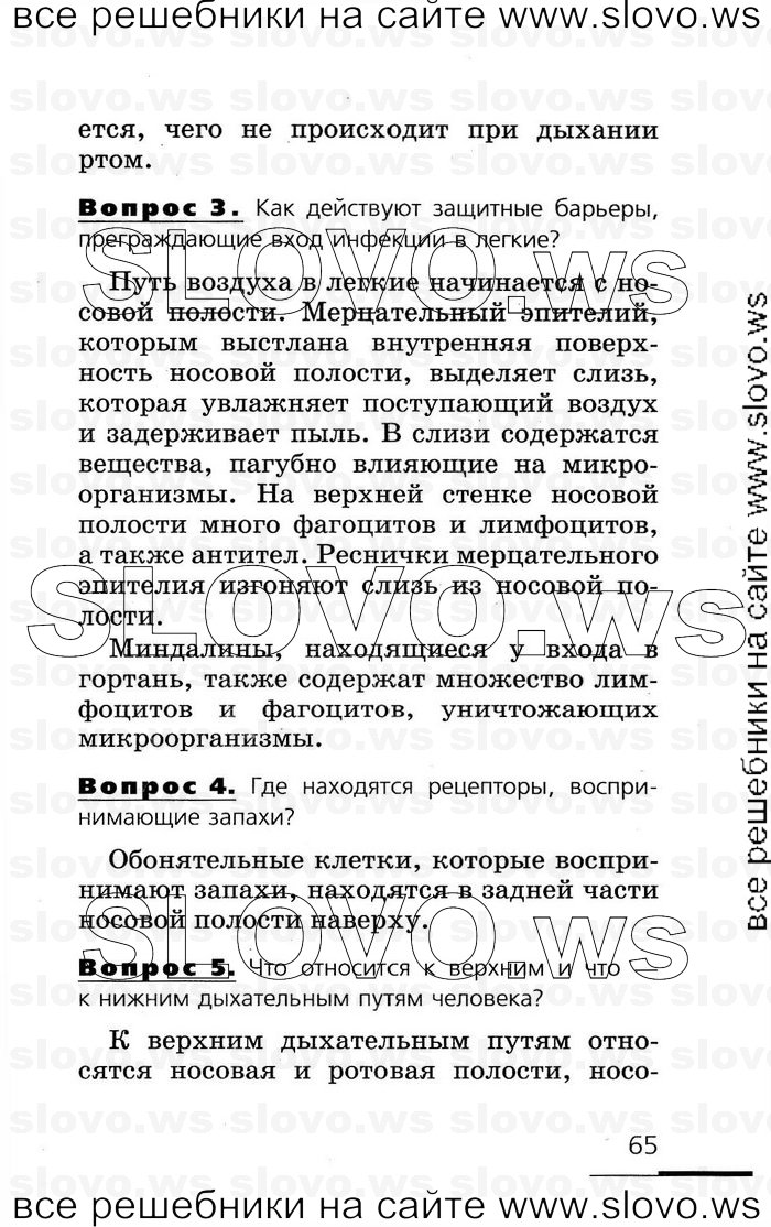    065   , 8  (.. , .. , .. ) 2007
