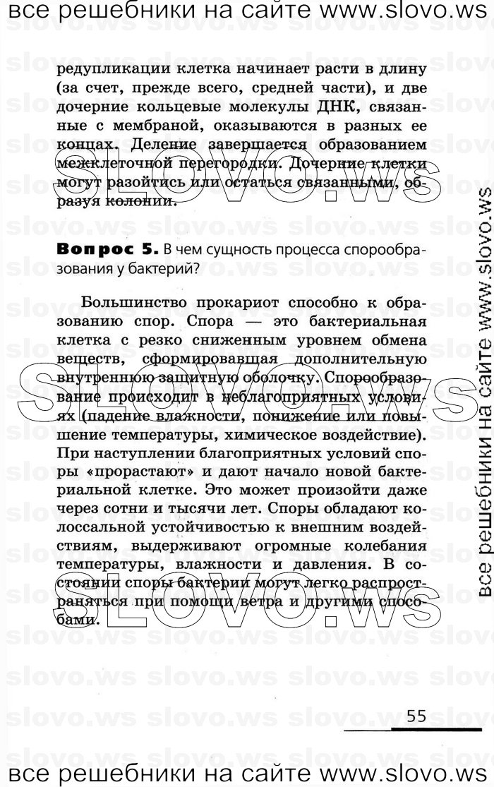   055   , 10-11  (.. , .. , .. ) 2008
