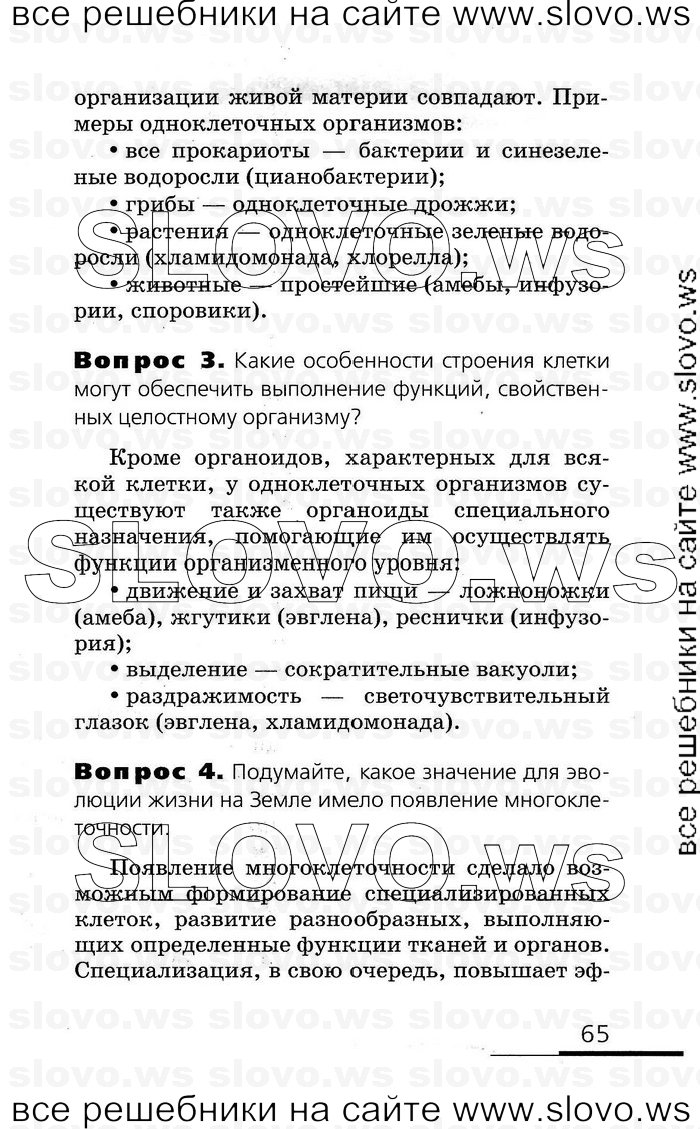    065   , 10-11  (.. , .. , .. ) 2008
