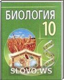  ()  , 10  (.. , .. , .. , .. ) 2009