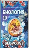  ()  , 10  (.. , .. , .. )