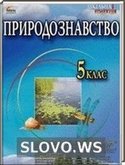  ()  , 5 